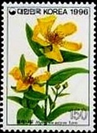 Colnect-2512-930-Hypericum-ascyron.jpg