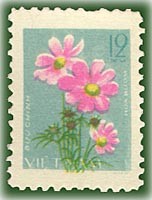 Colnect-1626-962-Pansy-Cosmos-bipinnatus.jpg