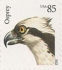 Colnect-1699-530-Osprey%C2%A0Pandion-haliaetus.jpg