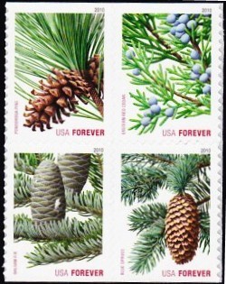 Colnect-1699-686-Holiday-Evergreens-conv-bklt.jpg