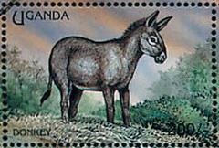 Colnect-1714-647-Donkey-Equus-asinus-asinus.jpg