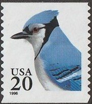 Colnect-3146-787-Blue-Jay-Cyanaocitta-cristata.jpg