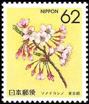 Colnect-519-690-Cherry-Blossom-Yamanashi.jpg