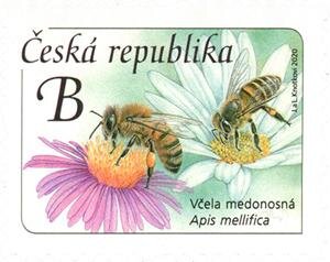 Colnect-6611-980-Honey-Bee-Apis-mellifica.jpg