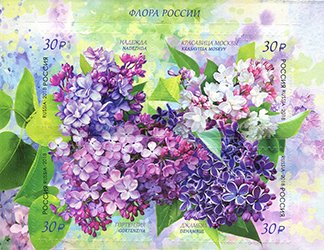 Colnect-4816-026-Lilacs.jpg