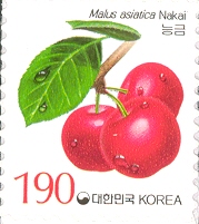 KR032.03.jpg