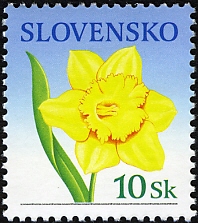 SK004.06.jpg