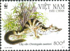 VN005.05.jpg