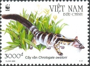 VN006.05.jpg