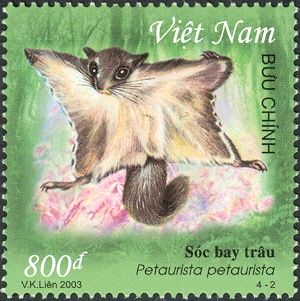 VN017.03.jpg