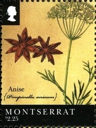 Colnect-1524-121-Anise.jpg