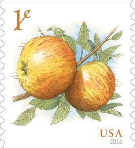 Colnect-3483-618-1-Cent-Apples.jpg