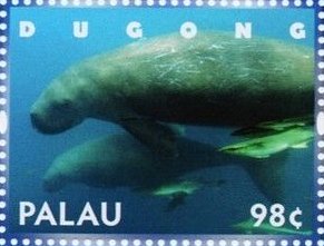 Colnect-4898-117-Dugong.jpg