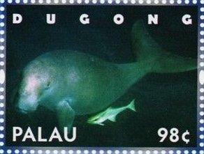 Colnect-4898-118-Dugong.jpg