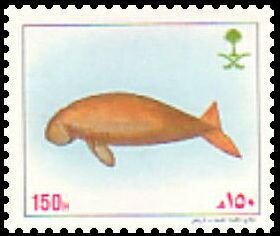 Colnect-5831-196-Dugong.jpg