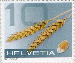 Colnect-617-107-Wheat.jpg