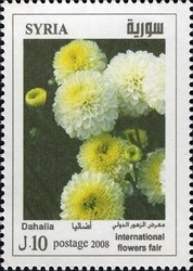 Colnect-1427-212-Dahlia.jpg