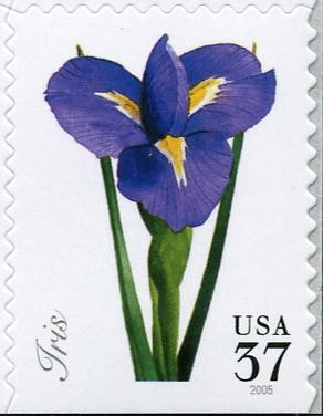 Colnect-202-345-Iris.jpg