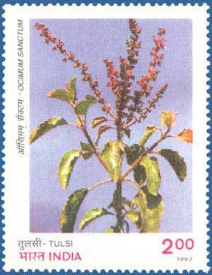 Colnect-555-375-Tulsi.jpg