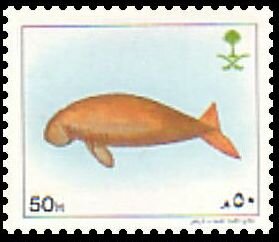 Colnect-5825-375-Dugong.jpg