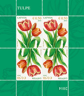 Colnect-2129-487-Tulip.jpg