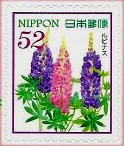 Colnect-3985-432-Lupin.jpg