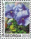 Colnect-1107-681-Viola.jpg