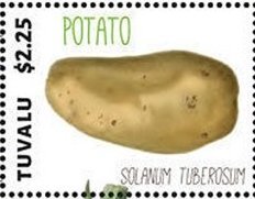 Colnect-6344-810-Potato.jpg