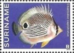 Colnect-4220-914-Fishes.jpg