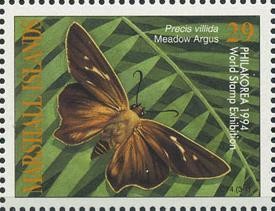 Colnect-1003-172-Meadow-Argus-Precis-villida.jpg