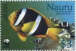 Colnect-1214-750-Yelllowtail-Clownfish-Amphiprion-clarkii-Merten--s-Carpet-.jpg