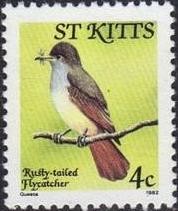 Colnect-1659-322-Lesser-Antillean-Flycatcher.jpg