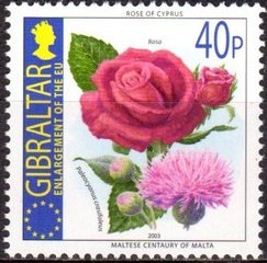 Colnect-1849-541-Rose-of-Cyprus-and-Maltese-Centaury-of-Malta.jpg