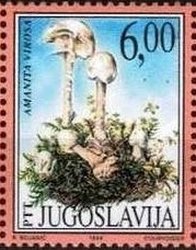 Colnect-1889-407-Amanita-virosa.jpg