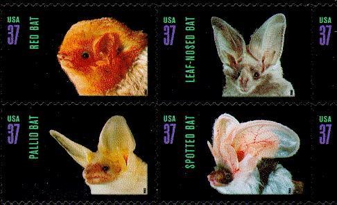 Colnect-201-951-American-Bats.jpg