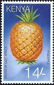 Colnect-3425-382-Ananas-comosus.jpg