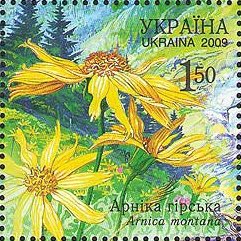 Colnect-546-396-Mountain-Arnica-Arnica-montana.jpg