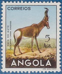 Colnect-566-106-Red-Hartebeest-Alcelaphus-buselaphus-caama.jpg