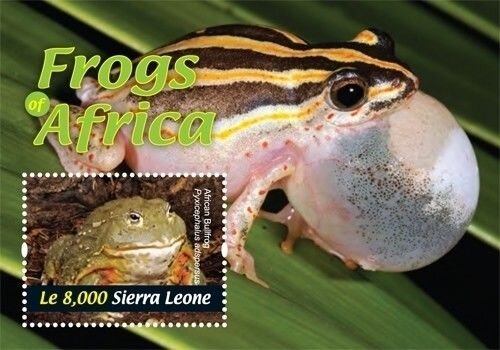 Colnect-6224-703-African-Frogs.jpg