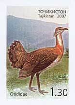 Colnect-1103-169-Great-Bustard%C2%A0Otis-tarda.jpg