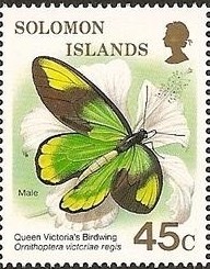 Colnect-1401-716-Queen-Victoria--s-Birdwing-Ornithoptera-victoriae.jpg