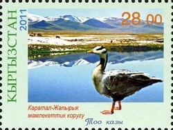 Colnect-1535-300-Karatal-Japyryk-Bar-headed-Goose-Anser-indicus.jpg