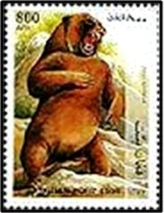 Colnect-2204-180-Cave-bear-Ursus-spelaeus.jpg