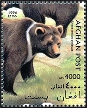 Colnect-2205-580-Syrian-Brown-Bear-Ursus-arctos-syriacus.jpg