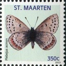 Colnect-2628-549-Acmon-Blue-Plebejus-acmon.jpg