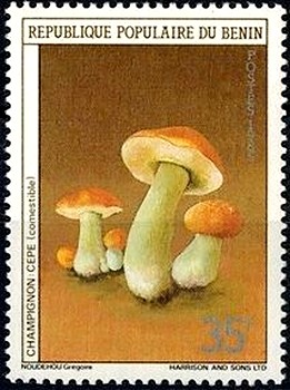 Colnect-2902-699-Boletus-edible.jpg