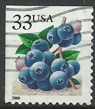 Colnect-3959-861-Fruits-Berries---Blueberries.jpg