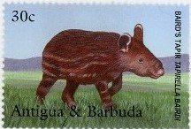 Colnect-4184-984-Baird-s-tapir.jpg