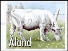 Colnect-430-952-Charolais-Bos-primigenius-taurus.jpg