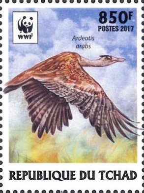 Colnect-4805-531-Arabian-Bustard-Ardeotis-arabs.jpg